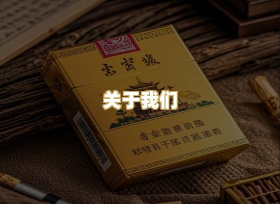 关于我们